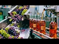 Lagu What REALLY Happens Inside a Wine Factory? (The Truth They Don’t Show)