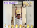 Do a Chin-Up Save a Cat mediapipe threejs real-time browser game