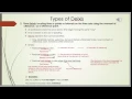 Deixis and reference