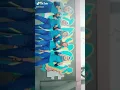 Download Lagu TikTok SMA #Part 1