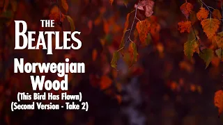Norwegian Wood (This Bird Has Flown) (Second version - Take 2) (Visualiser)