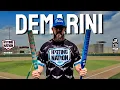 Demarini Lady Cartel and Stadium 240-Review