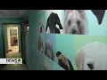 April Update for Panhandle Humane Society