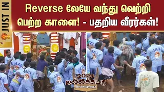 alanganallur jallikattu 2026 bull heavy training players struggle prize madurai