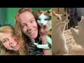 Reacting To The FUNNIEST Cats Of The Year Pt 2 - Hailee And Kendra