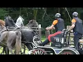 Download Lagu 47 TER HARMSEL, Antonie, NED, CH-EU-A4, Lähden GER, Marathon Ob 5, 06.09.2025