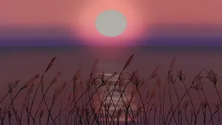 Best Calm And Romantic Music For Lovers 2023 That Takes You To Another World 