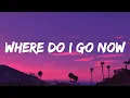 Lagu Where Do I Go Now? – Lewis Capaldi - (Lyrics)