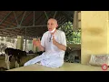 Download Lagu Bhagavan Ramana Maharshi, Cow Lakshmi and the Goshala  - 90 years in restrospect : PART I