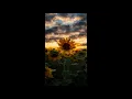 SUNFLOWER - Post Malone Swae Lee Orchestral Version