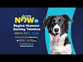 Regina Humane Society Telethon 2026 AccessNow TV