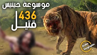 تشامباوات اخطر نمرة عرفها التاريخ شيطان النيبال الحيوانات والحياة البرية 