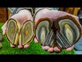 Download Lagu Cutting AMAZING Brazilian agates open!