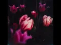 slowdive - kisses (slowed + reverb)