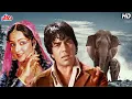 Download Lagu माँ Movie Maa - Full Movie | Dharmendra | Hema Malini | Ajit | Nirupa Roy | Ranjeet. 1080p HD