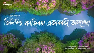 Jilikise Kaziranga Ejarrongi Bhalpuwa - Achurjya Borpatra | Paplu C | Anshuraj K | Naibedya N