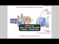 Heat Exchanger Training Course with TEMA types - Walk Through