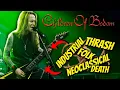 Download Lagu How Children Of Bodom Made PERFECT Melodeath