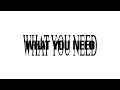 Download Lagu Playboi Carti - What You Need