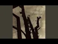 Download Lagu spasmodic
