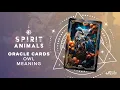 Owl Spirit Animal Symbolism Meaning Explained