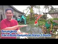 Lagu Fakta Baru || Ternyata 16 Tahun Lebih Belum Pernah Di Normalisasi || Pantas Banjir Sampai 6 Bulan
