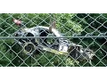 Download Lagu Z4 GT3 Uwe Alzen 'Wrack' (Unfall)