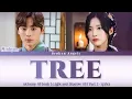 Hwang Minhyun - Tree (Just Watching You 2) [OST Alchemy Of Souls 2 Part 2] Lyrics Sub Han/Rom/Eng