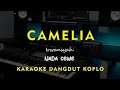 Lagu CAMELIA // Irwansyah // KARAOKE DANGDUT KOPLO NADA CEWE ( FEMALE )
