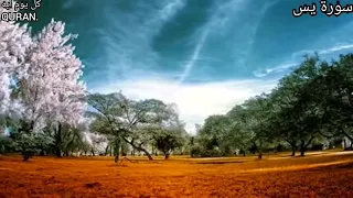 قراءة جميلة جدا ل سورة يس بصوت القارئ حسام الدين عبادي 