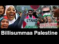 Download Lagu Vrijheid van Palestina