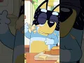 Bluey for real life A day in the life of Bella the Australian Cattle Dog Bluey