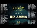 Download Lagu Murotal Al Quran Merdu Juz 30 (Juz Amma) Suara Merdu Menyentuh Hati,  Ngaji Merdu l Qari` Alaa Aqel