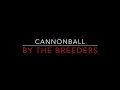 The Breeders - Cannonball [1993] (Improved Video) Lyrics