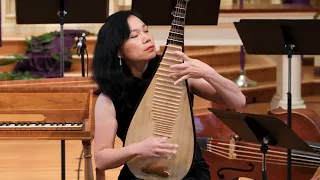 Dance of the Yi People (彝族舞曲) – Yihan Chen (陈一涵), pipa. 8K video.