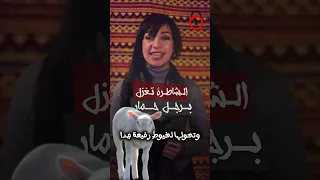 الشاطره تغزل برجل حمار طبعا امال 