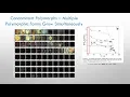 Solid Form Selection in the Pharmaceutical Industry Solid Form Characterization Techniques 3 of 5