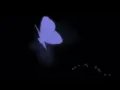 Giulio Cercato - Butterflies (Slowed)