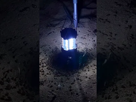 The Blue Light ritual 👽