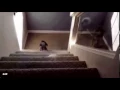 Husky fall down stairs and explodes NOW WITH SOUND EFFECTS