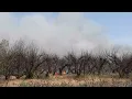Brush fire burns around 20 acres in orchard near Wapato