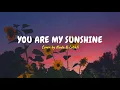 You Are My Sunshine - Cover by Nada \u0026 Luthfi (Lyric Video) | Aesthentic Video