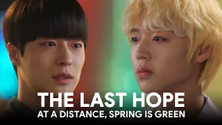  eng sub park ji hoon is the last hope of bae in hyuk at a distance spring is green 