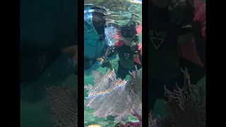 Protecting our boat with Total Boat paint #sailingbyefelicia #totalboat