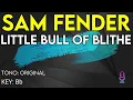 Sam Fender - Little Bull Of Blithe - Karaoke Instrumental