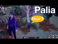 How Do You Plant Wild Trees in Palia