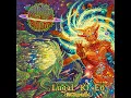 Infused (Instrumental)