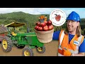 Lagu 🍎Appels telen met klusjesman Hal 🍏 Appels plukken, cider maken en tractorplezier 🚜 Jeter Mountain...