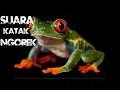 Download Lagu SUARA KODOK NGOREK DI SAWAH
