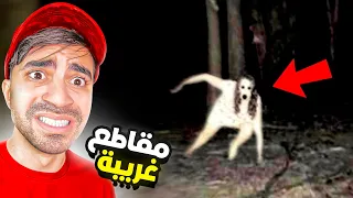 شفت اغرب 10 مقاطع في اليوتيوب 